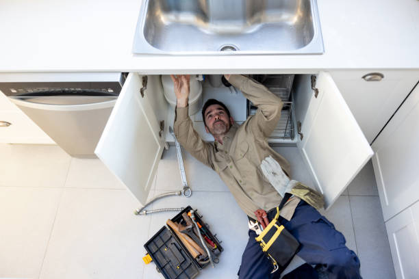 Best Local Plumber Services  in Dodson Branch, TN